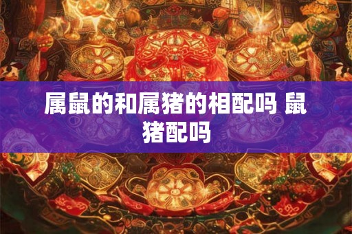 属鼠的和属猪的相配吗 鼠猪配吗
