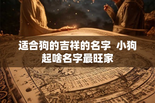 适合狗的吉祥的名字 小狗起啥名字最旺家 适合狗的吉祥的名字 小狗起啥名字最旺家