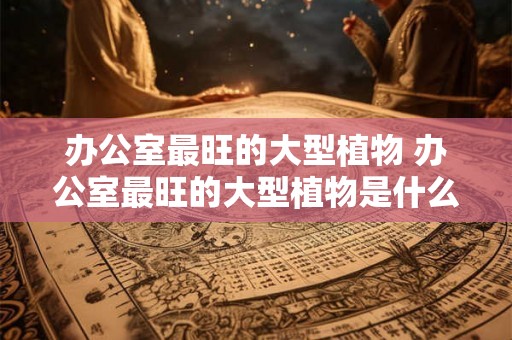 办公室最旺的大型植物 办公室最旺的大型植物是什么 办公室最旺的大型植物 办公室最旺的大型植物是什么