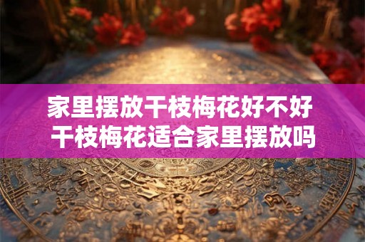 家里摆放干枝梅花好不好 干枝梅花适合家里摆放吗