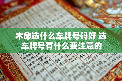 木命选什么车牌号码好 选车牌号有什么要注意的 木命选什么车牌号码好 选车牌号有什么要注意的