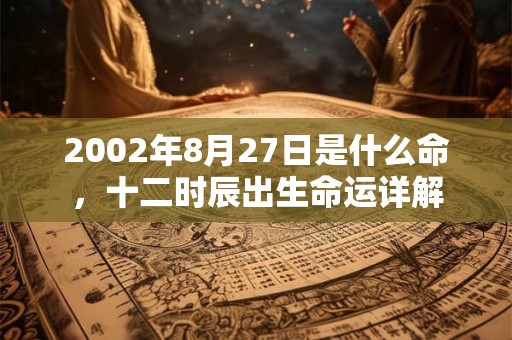 2002年8月27日是什么命,十二时辰出生命运详解 2002年8月27日是什么命,十二时辰出生命运详解