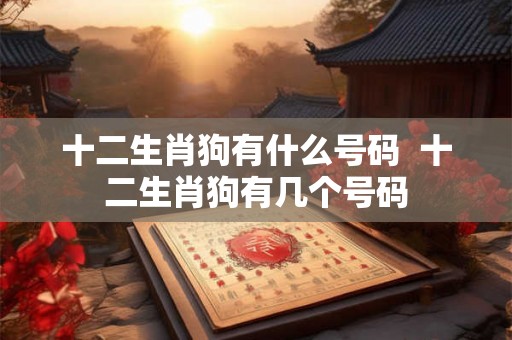 十二生肖狗有什么号码  十二生肖狗有几个号码