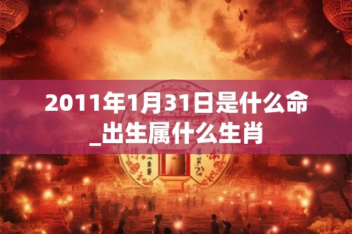 2011年1月31日是什么命_出生属什么生肖