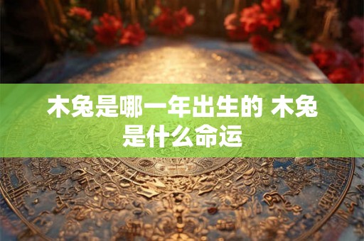 木兔是哪一年出生的 木兔是什么命运