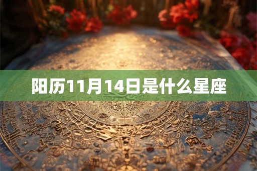 阳历11月14日是什么星座