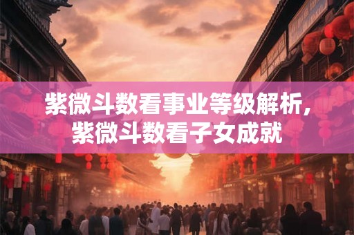 紫微斗数看事业等级解析,紫微斗数看子女成就