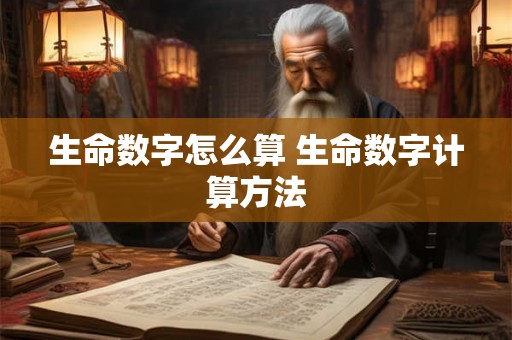 生命数字怎么算 生命数字计算方法