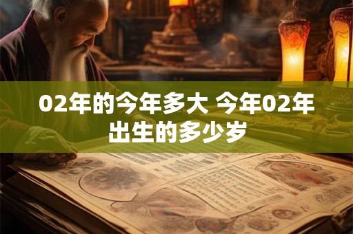 02年的今年多大 今年02年出生的多少岁