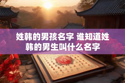 姓韩的男孩名字 谁知道姓韩的男生叫什么名字