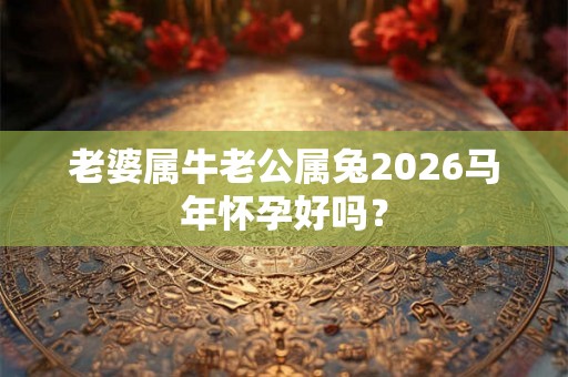 老婆属牛老公属兔2026马年怀孕好吗？