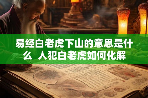 易经白老虎下山的意思是什么  人犯白老虎如何化解