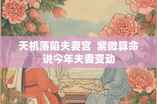 天机落陷夫妻宫  紫微算命说今年夫妻变动