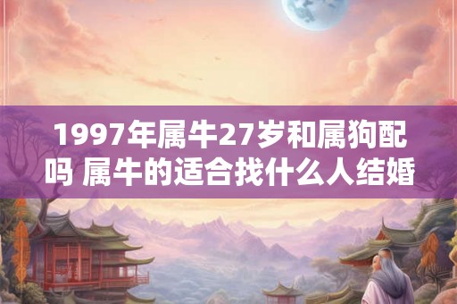1997年属牛27岁和属狗配吗 属牛的适合找什么人结婚