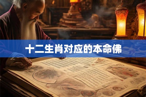 十二生肖对应的本命佛