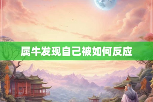 属牛发现自己被如何反应