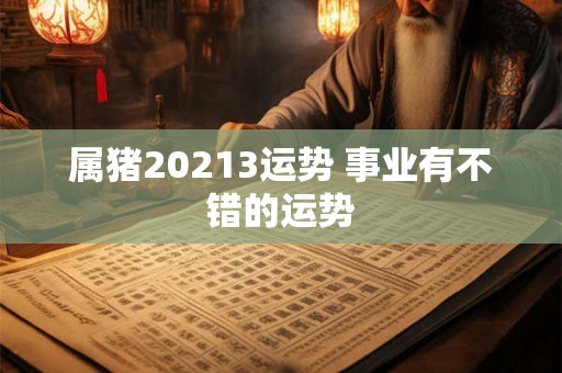 属猪20213运势 事业有不错的运势