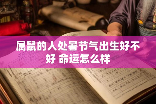 属鼠的人处暑节气出生好不好 命运怎么样