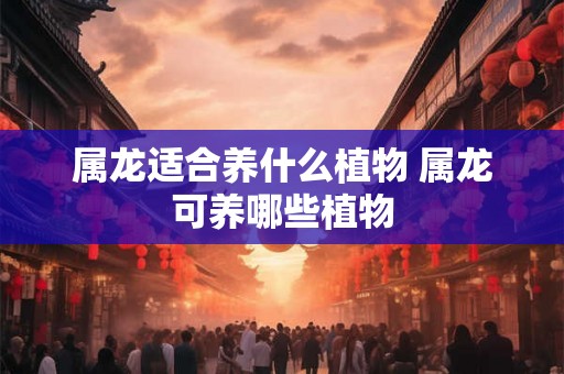 属龙适合养什么植物 属龙可养哪些植物