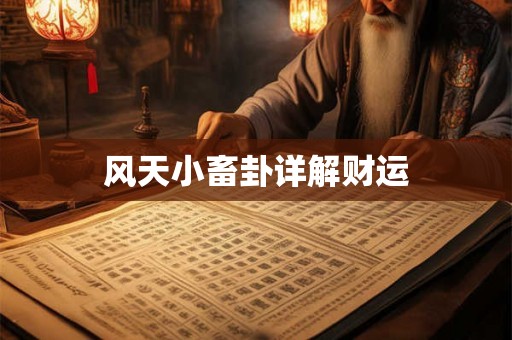 风天小畜卦详解财运