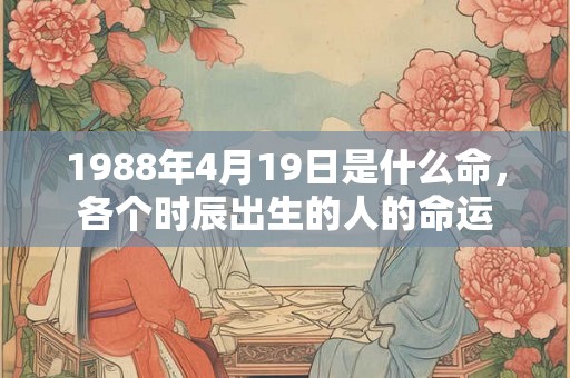 1988年4月19日是什么命,各个时辰出生的人的命运 1988年4月19日是什么命,各个时辰出生的人的命运