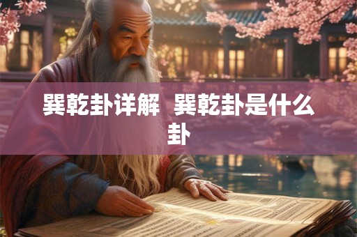 巽乾卦详解  巽乾卦是什么卦