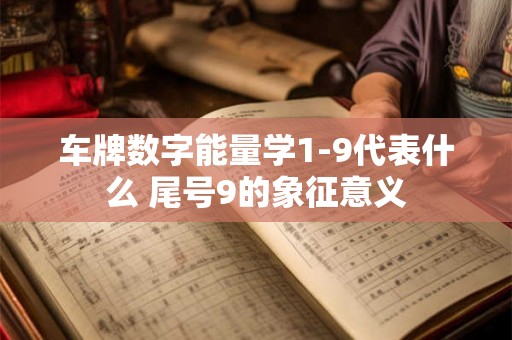 车牌数字能量学1-9代表什么 尾号9的象征意义