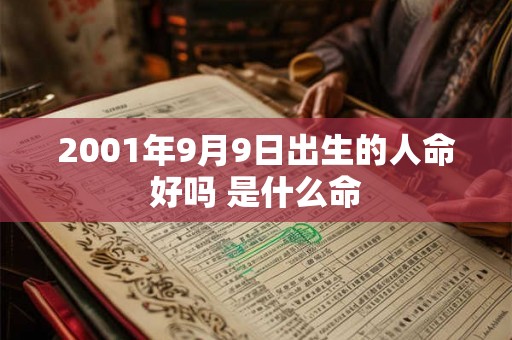 2001年9月9日出生的人命好吗 是什么命