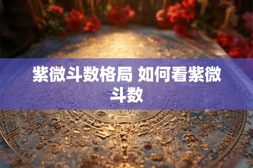 紫微斗数格局 如何看紫微斗数 紫微斗数格局 如何看紫微斗数