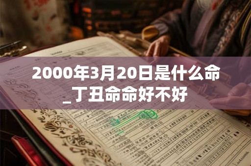 2000年3月20日是什么命_丁丑命命好不好