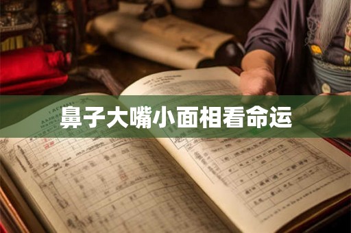 鼻子大嘴小面相看命运