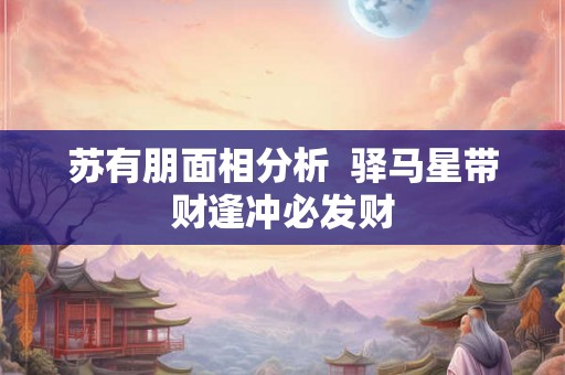 苏有朋面相分析  驿马星带财逢冲必发财
