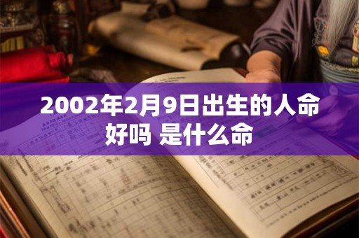 2002年2月9日出生的人命好吗 是什么命 2002年2月9日出生的人命好吗 是什么命