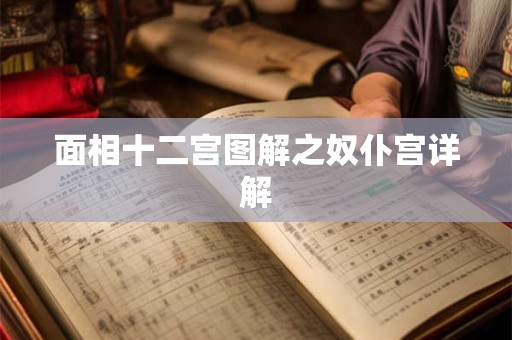 面相十二宫图解之奴仆宫详解