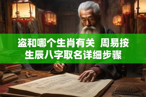 盗和哪个生肖有关  周易按生辰八字取名详细步骤