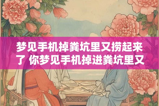 梦见手机掉粪坑里又捞起来了 你梦见手机掉进粪坑里又捞起来了吗