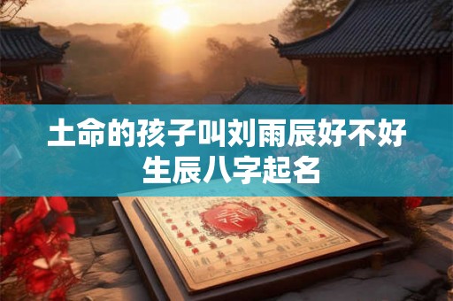 土命的孩子叫刘雨辰好不好 生辰八字起名