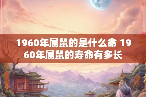 1960年属鼠的是什么命 1960年属鼠的寿命有多长