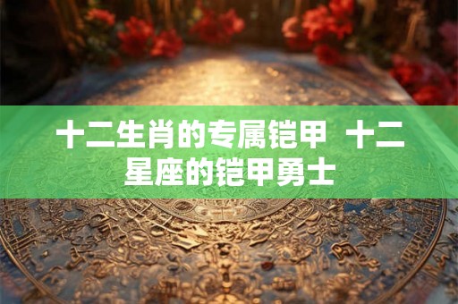 十二生肖的专属铠甲  十二星座的铠甲勇士
