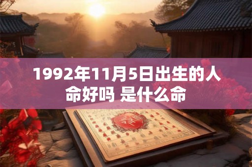 1992年11月5日出生的人命好吗 是什么命