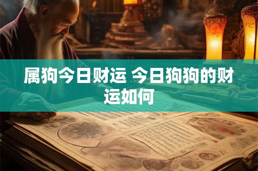 属狗今日财运 今日狗狗的财运如何