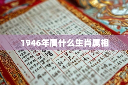 1946年属什么生肖属相