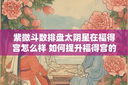 紫微斗数排盘太阴星在福得宫怎么样 如何提升福得宫的运势