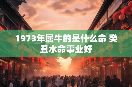 1973年属牛的是什么命 癸丑水命事业好