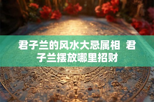 君子兰的风水大忌属相  君子兰摆放哪里招财