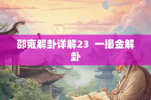 邵雍解卦详解23  一撮金解卦