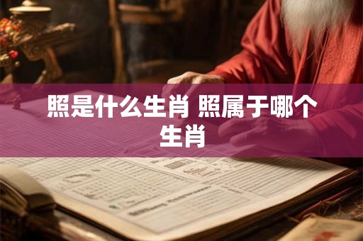 照是什么生肖 照属于哪个生肖