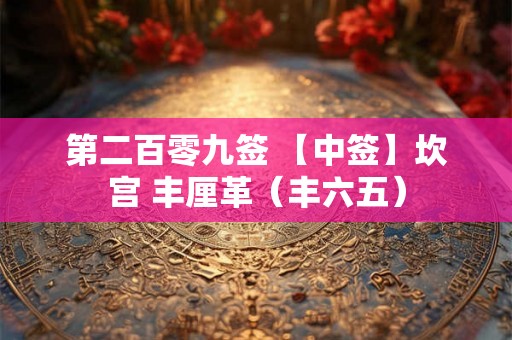 第二百零九签 【中签】坎宫 丰厘革（丰六五）