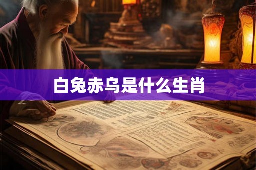 白兔赤乌是什么生肖
