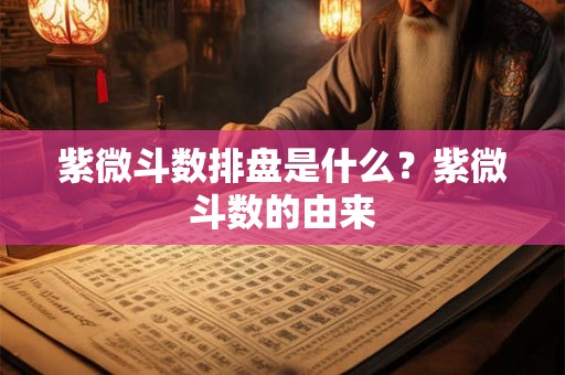 紫微斗数排盘是什么?紫微斗数的由来 紫微斗数排盘是什么?紫微斗数的由来